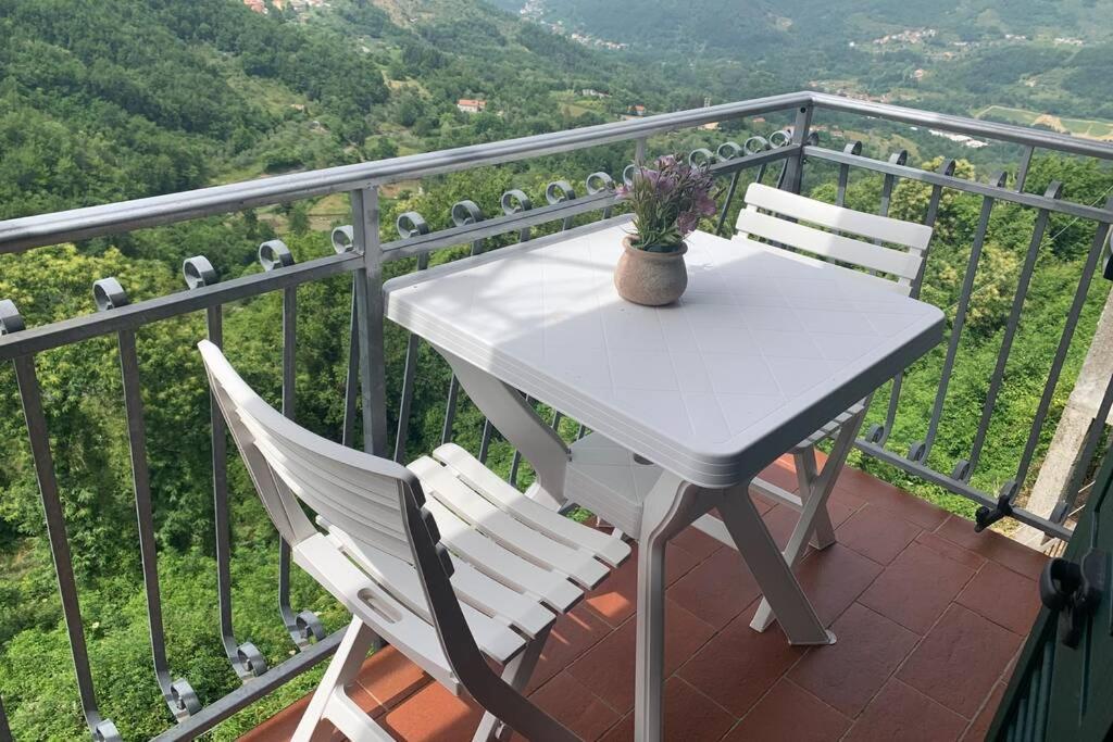 Balkón nebo terasa v ubytování La Terrazza sulle Apuane