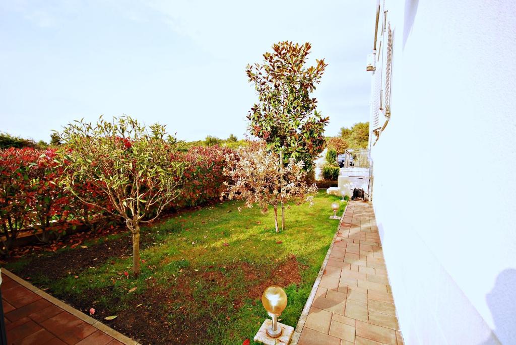 Vonkajšia záhrada v ubytovaní Holiday Home Drago