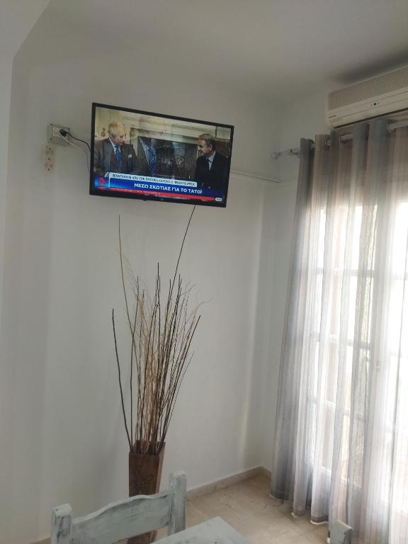 TV a/nebo společenská místnost v ubytování Ira Apartments