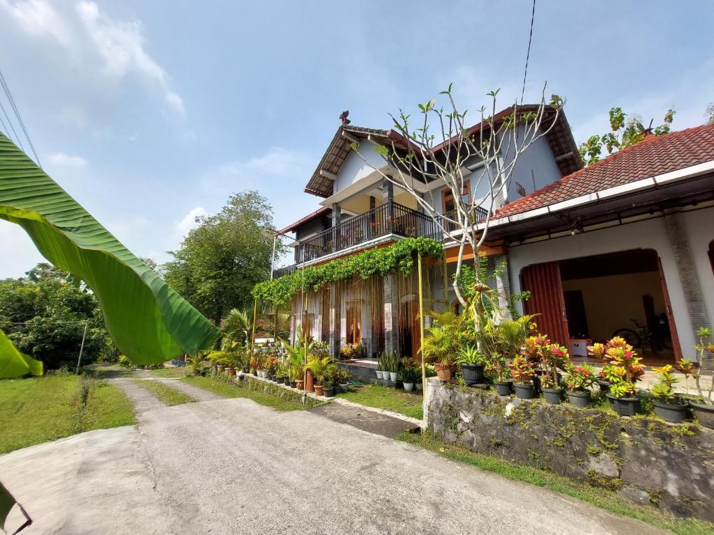 DS Homestay Krebet - Housity
