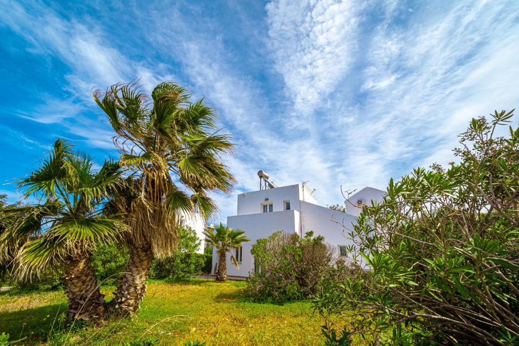 a white building with a palm tree in front of it at Cretan Life Holidays in Chorafakia