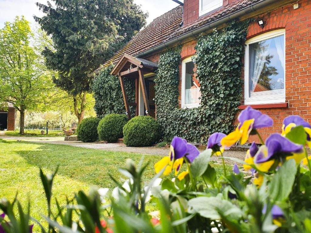 a house with purple and yellow flowers in front of it at Am Alten Haus in Altenmedingen
