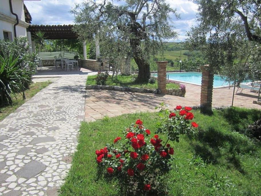 ogród z czerwonymi kwiatami i basenem w obiekcie Exclusive Swimming Pool w mieście Miglianico