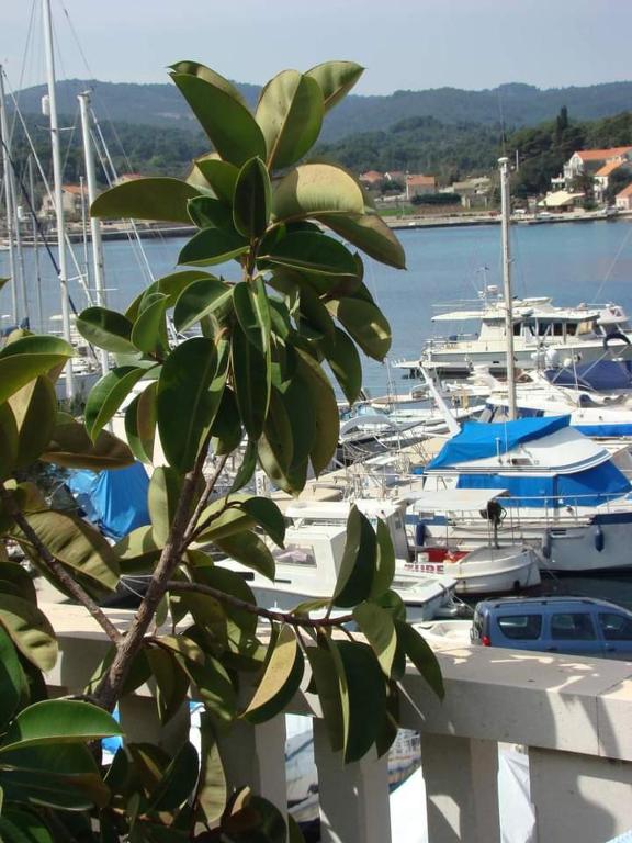 a bunch of boats parked in a marina with a tree at The Olive Tree in Lumbarda