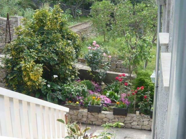 a garden with flowers and plants on a balcony at The Olive Tree in Lumbarda