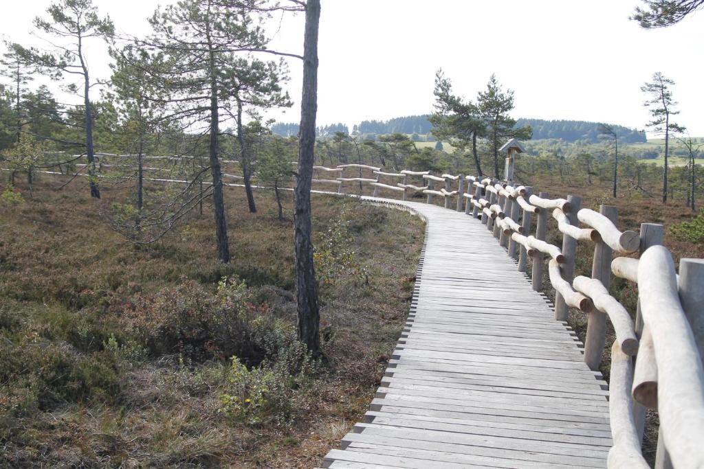 Příroda nedaleko apartmánu