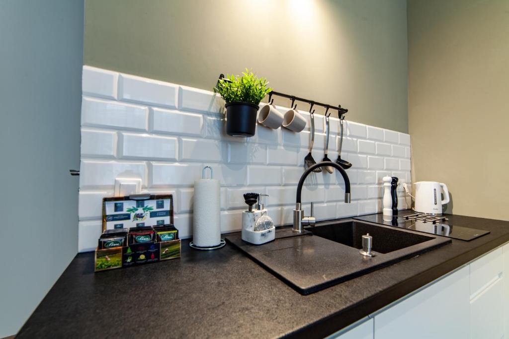 Kuchyňa alebo kuchynka v ubytovaní MILU Apartments Kurkowa