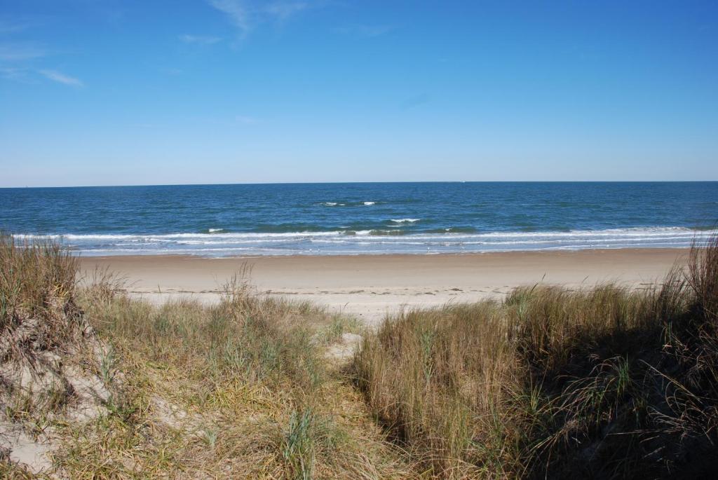 a sandy beach with the ocean in the background at Old Time Beach Front Cottage - The Beach is your Backyard! Pet Friendly cottage in North Camellia Acres