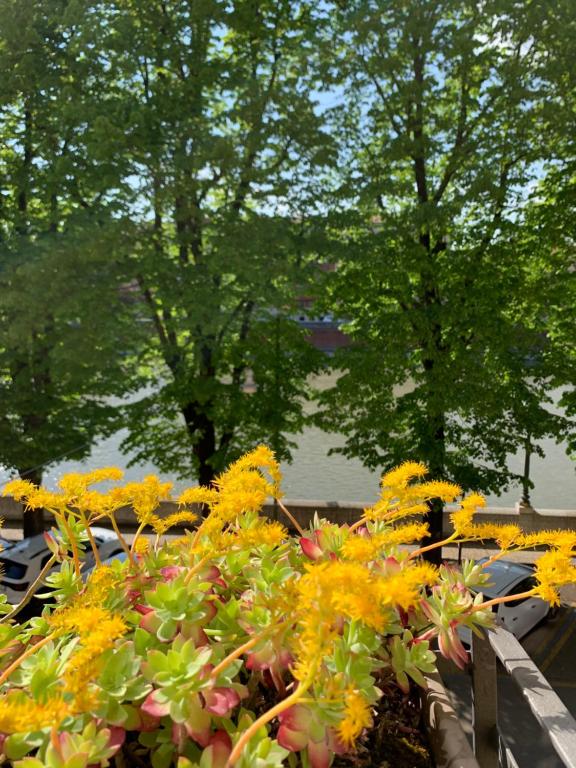 Notti sull'Adige - 6