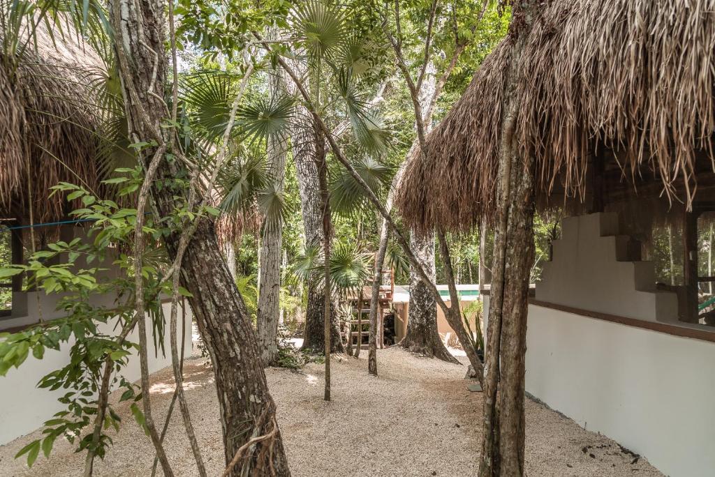 Afbeelding uit fotogalerij van Blue Monkey Chemuyil in Chemuyil