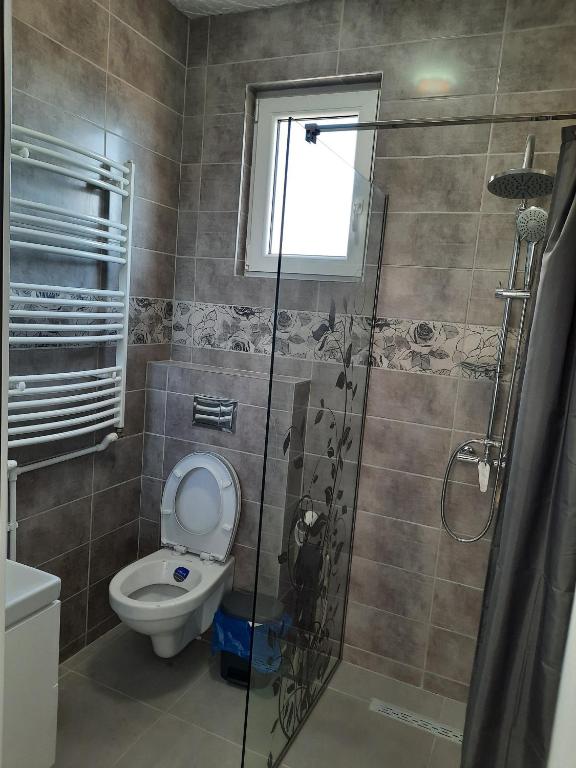 Koupelna v ubytování Casa Hărșan