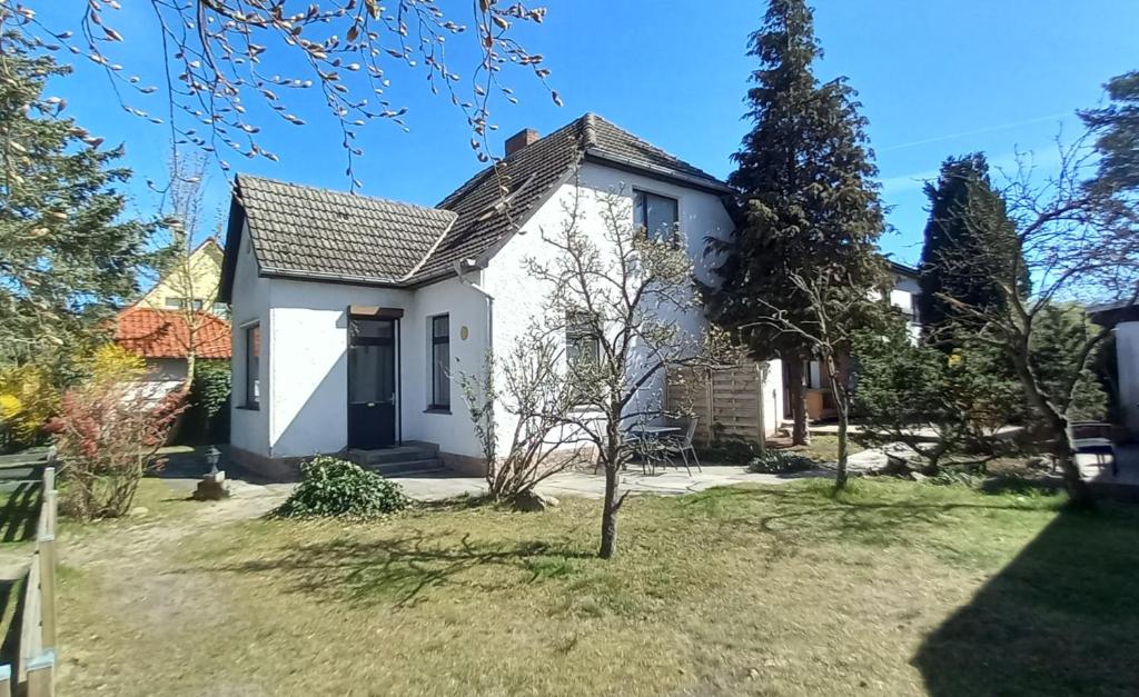 ein weißes Haus mit einem Baum im Hof in der Unterkunft Ferienwohnung Annika mit Sauna in Zinnowitz