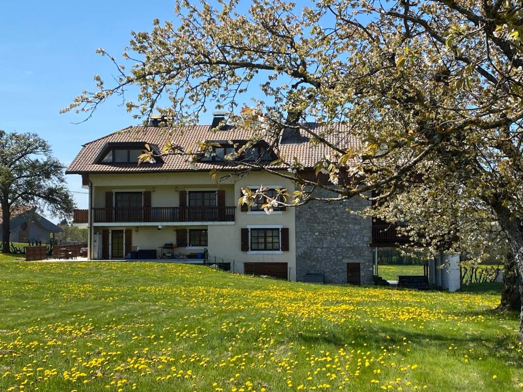 una casa seduta in cima a una collina erbosa di Ferme Bordbar B&B a Saint-Paul-en-Chablais