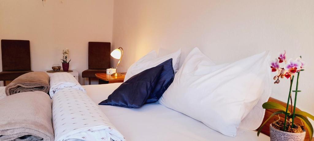 Pansion Ivan & Ivana - 7