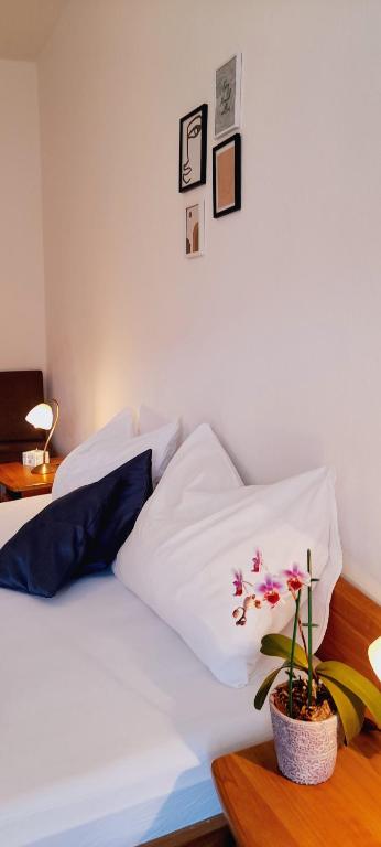 Pansion Ivan & Ivana - 10