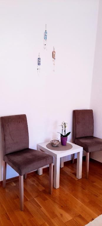 Pansion Ivan & Ivana - 14