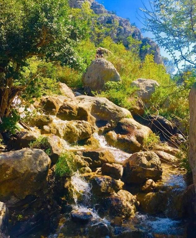 a stream of water next to some rocks and trees at Apartmani Dumezic in Bar