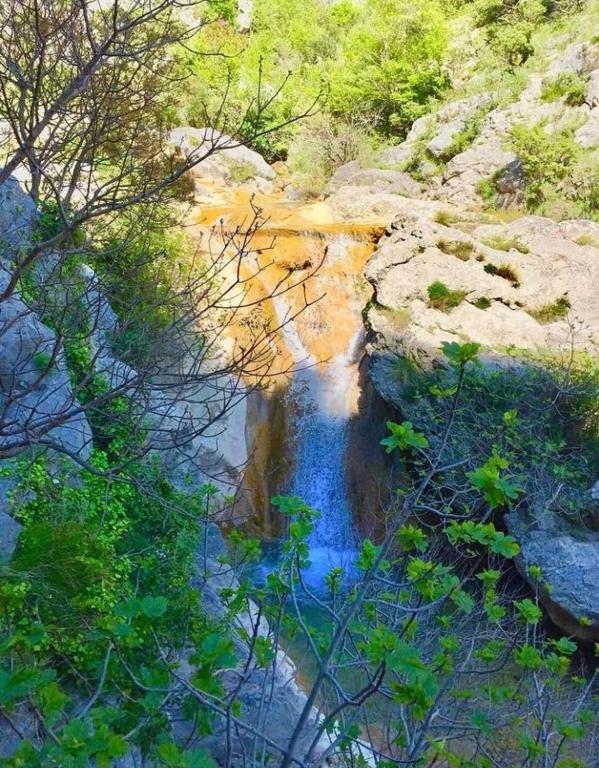 a river with blue water and rocks and trees at Apartmani Dumezic in Bar