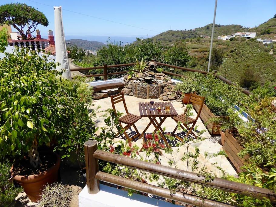 patio ze stołem, krzesłami i roślinami w obiekcie La Casa de Arriba, tradicional countryside home in Teror, Gran Canaria w mieście Teror