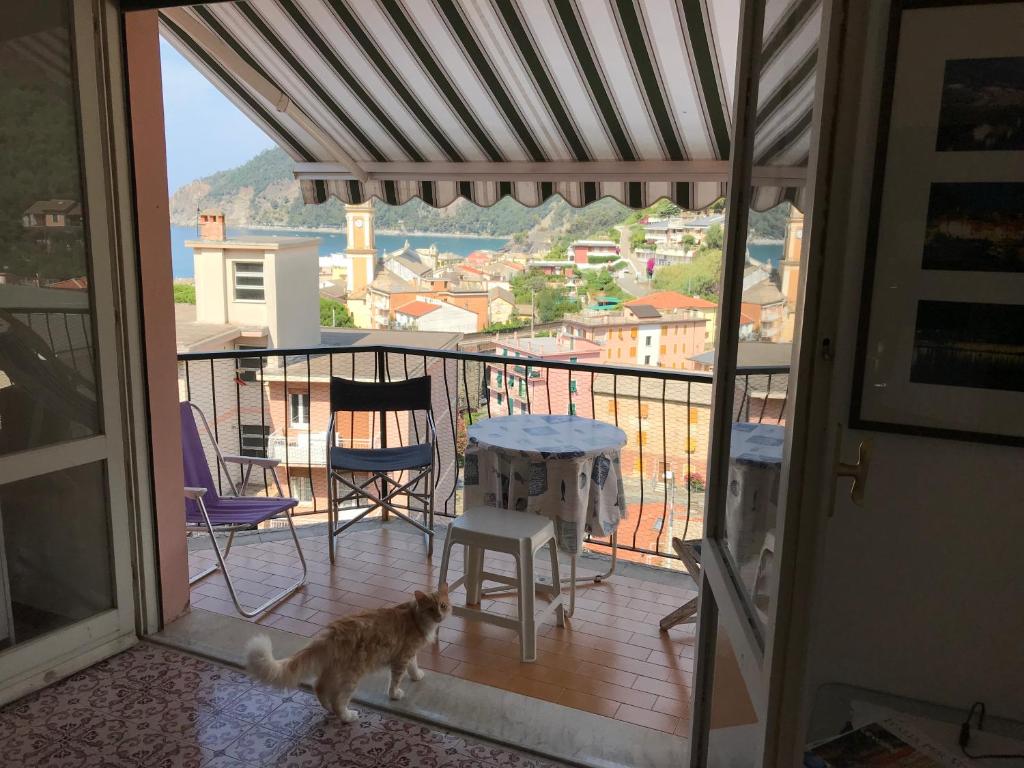 a cat walking on the balcony of a house at Vista mare 6 minuti a piedi dalla spiaggia, box. in Moneglia