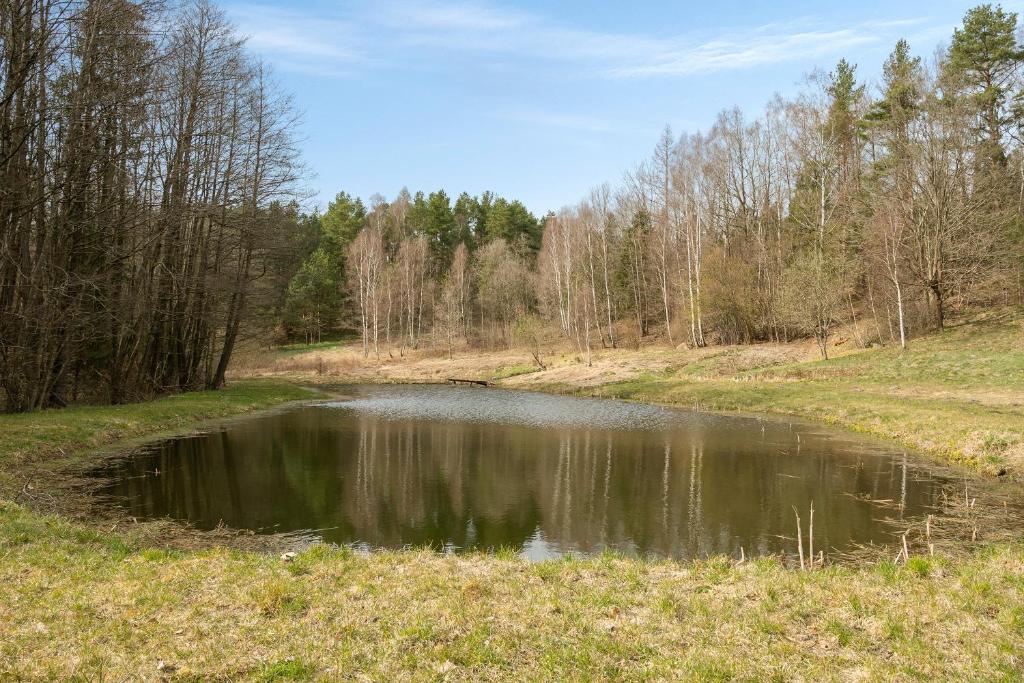 Príroda v okolí horskej chaty