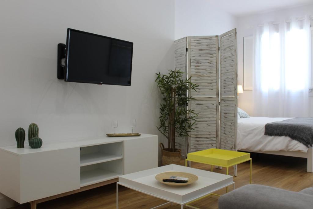 TV a/nebo společenská místnost v ubytování Encanto de la Catedral Ha Loft