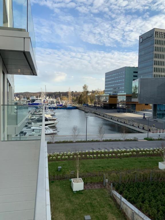 Yacht Park Marina - 5