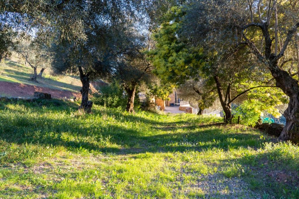 Zahrada ubytování Casas Rurales Las Cuevas El Rincón