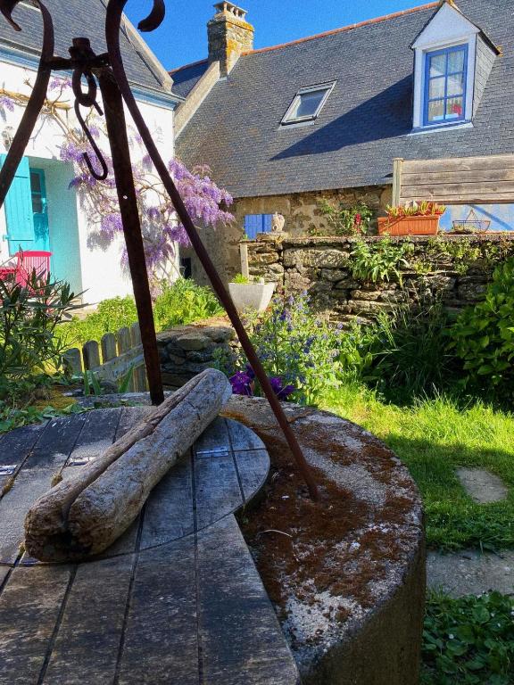 Zahrada ubytování Chouk-Ezaï côte sauvage de l'île