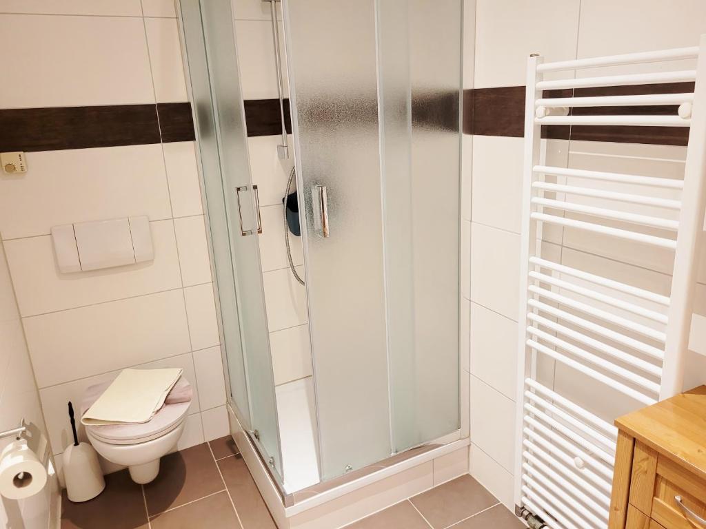 a bathroom with a toilet and a glass shower at Pension Landhaus Teichgraf in Wolgast