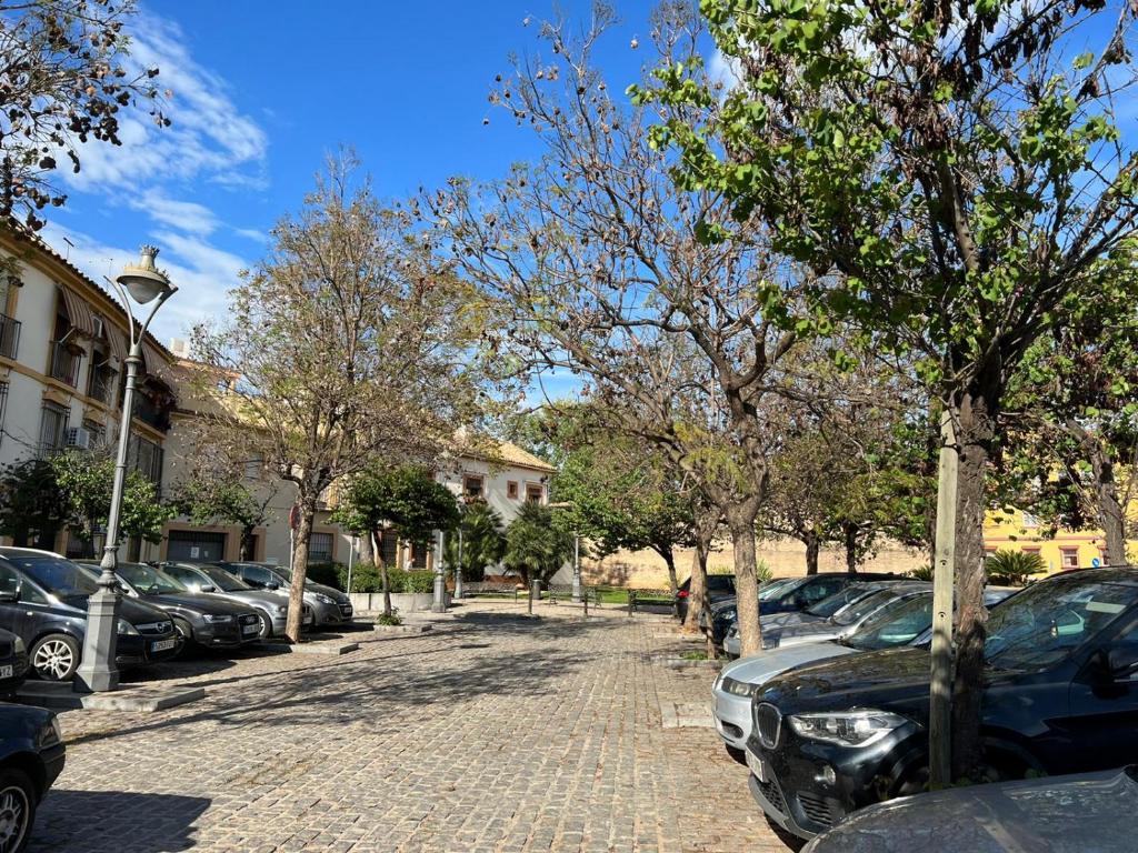 Fotografia z galérie ubytovania Apartamento Duplex El Tinte v destinácii Córdoba