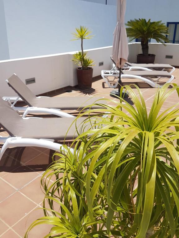 Fotografie z fotogalerie ubytování Apartamentos El Arrecife v destinaci Conil de la Frontera