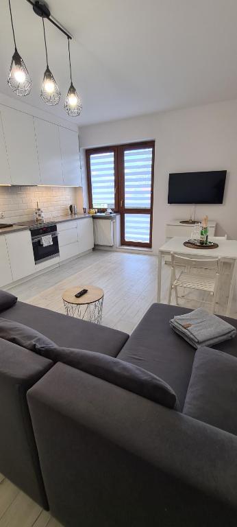 Il comprend un salon avec un canapé et une cuisine. dans l'établissement 44 - Apartamenty Siedlce - Nowy apartament w centrum przy ul Czerwonego Krzyża, à Siedlce