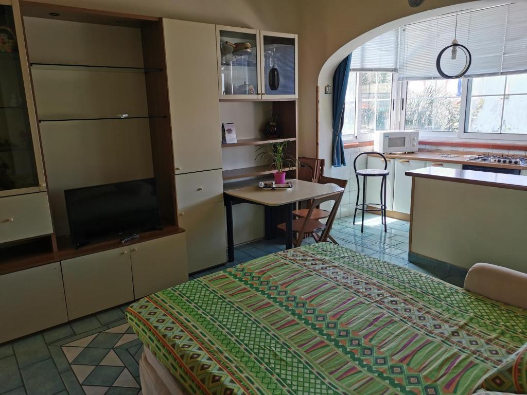 A kitchen or kitchenette at Monolocale Ischia Isola Verde