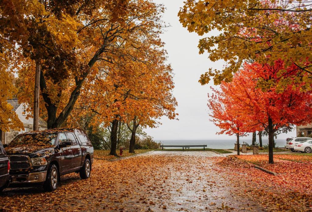 a car parked on a road with autumn leaves at #7 Brand New Castle Rock Lake 4 bedroom Lodge House in Friendship
