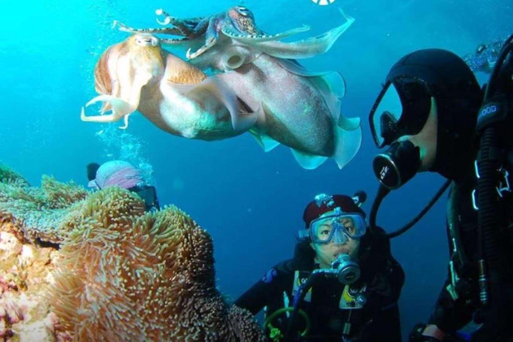 Zvieratá v dovolenkovom dome alebo blízkom okolí