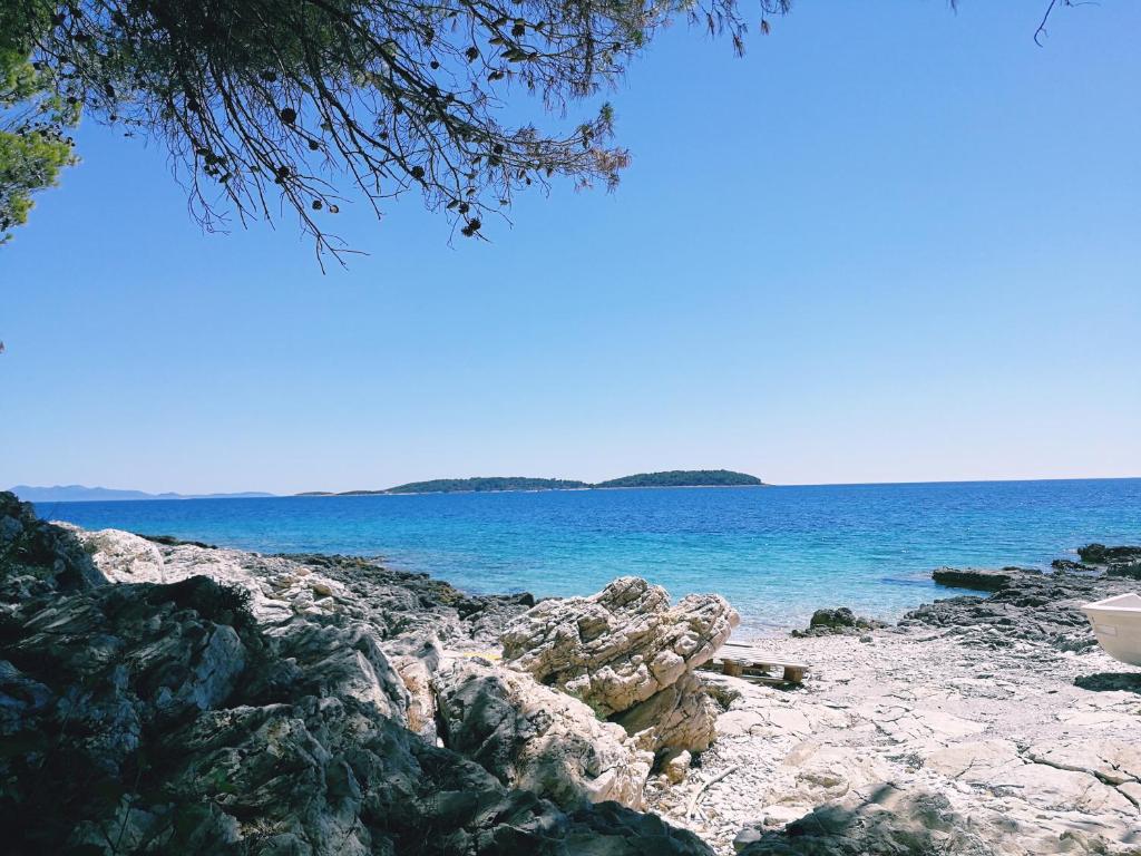 Fotografie z fotogalerie ubytování Apartment Garden, Korcula v destinaci Blato