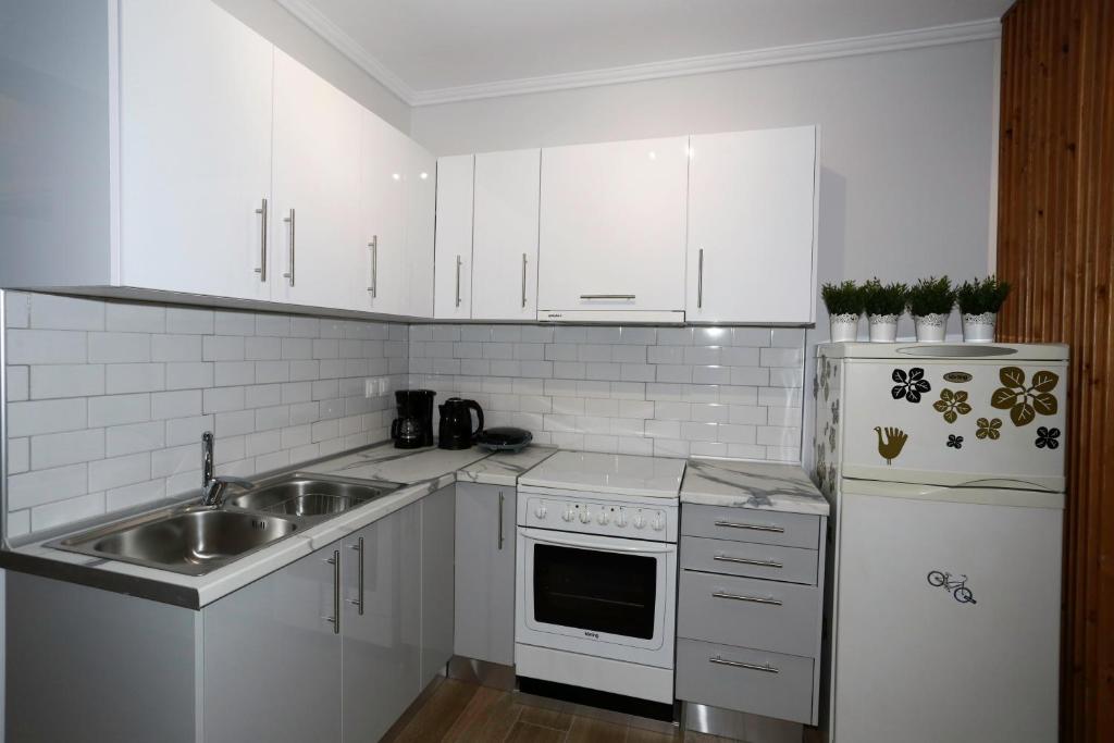 Kuchyň nebo kuchyňský kout v ubytování Bianca Suites