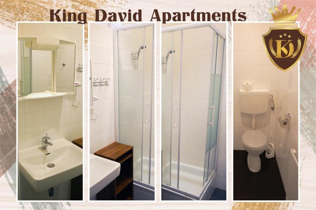 a bathroom with a shower and a sink and a toilet at King David Apartments Vienna in Vienna