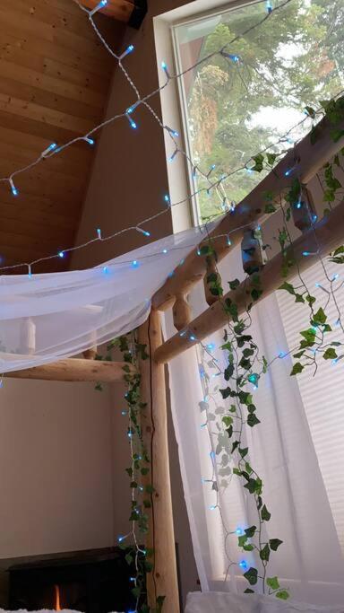 Sweet getaway in private Giant Sequoia Grove! - Twee Slaapkamers Huis