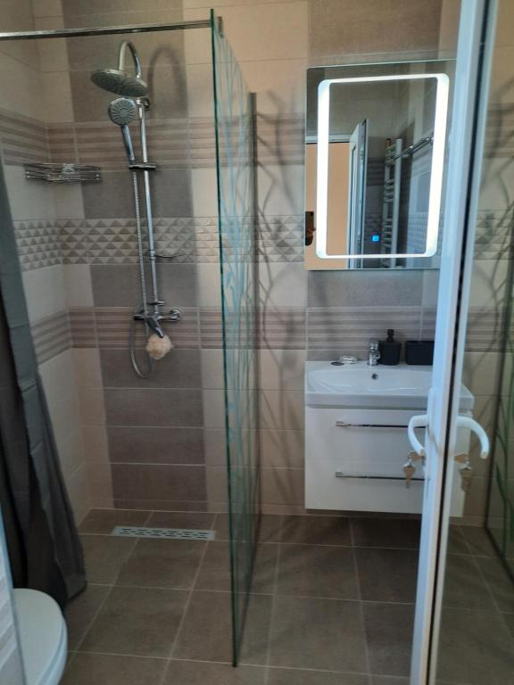 Koupelna v ubytování Casa Hărșan