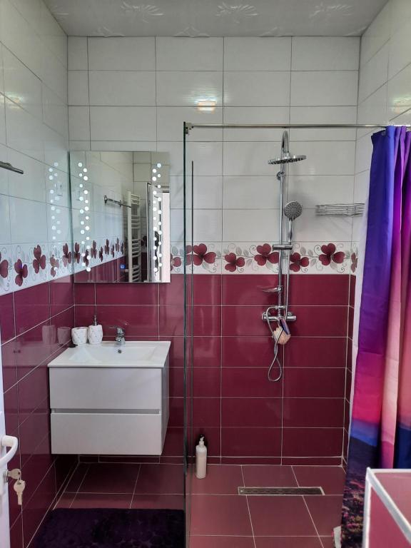 Koupelna v ubytování Casa Hărșan