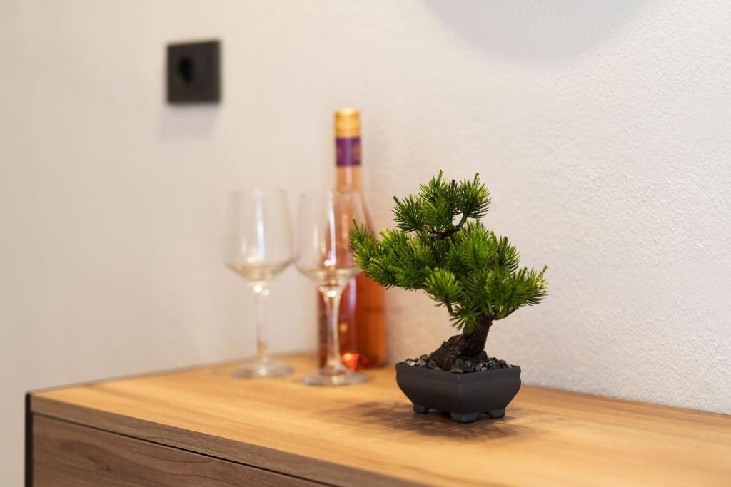 a small pine tree sitting on a table with a bottle of wine at Esperides Studios in Syvota