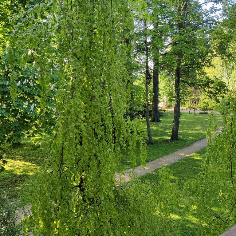 Zahrada ubytování Villa Ghia