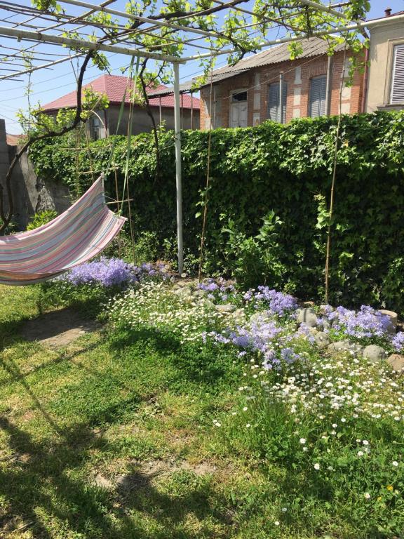 Zahrada ubytování Guesthouse AISI in Lagodekhi