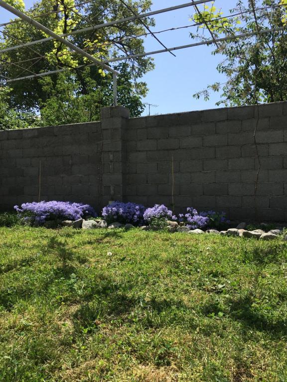 Zahrada ubytování Guesthouse AISI in Lagodekhi