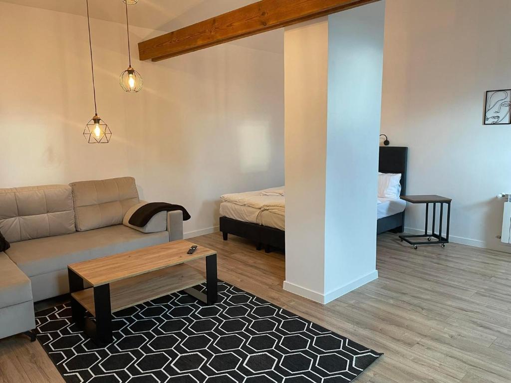 Posteľ alebo postele v izbe v ubytovaní Apartamenty Zwierzyniec Roztocze