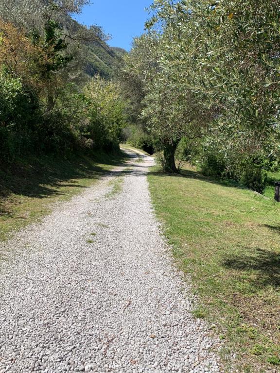 Paesaggio naturale nelle vicinanze dell'affittacamere