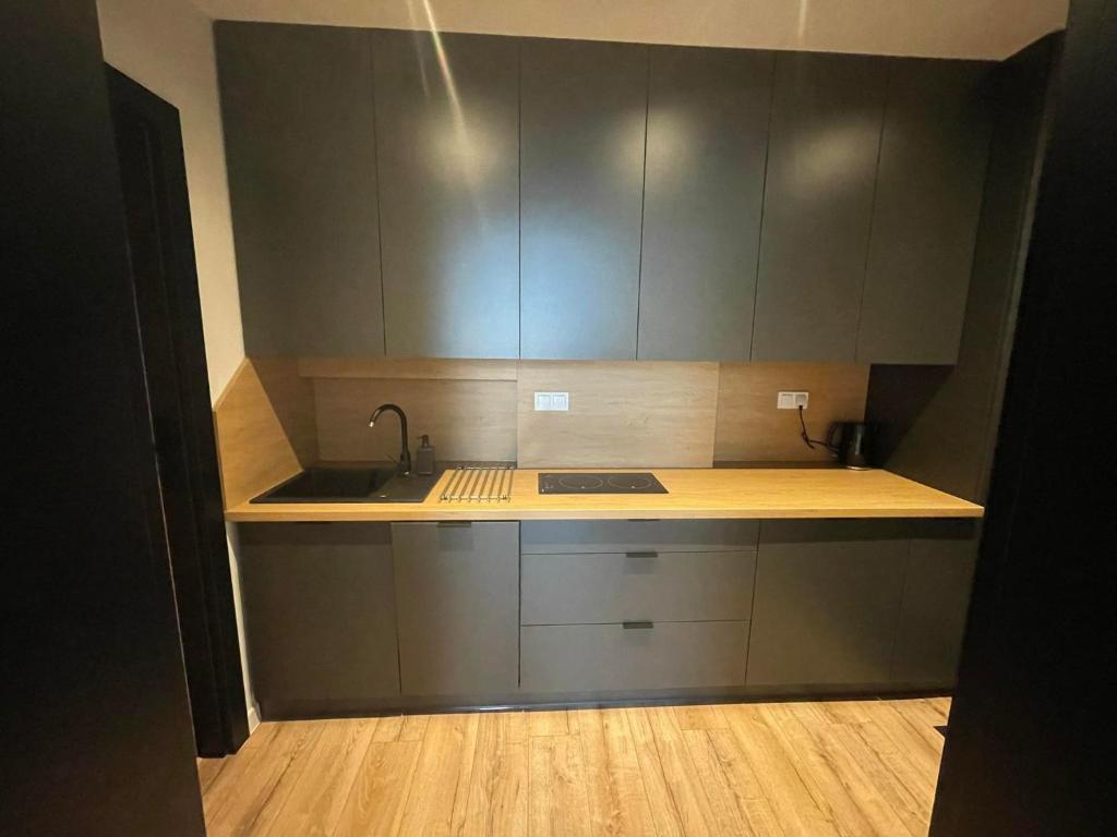 Kuchyňa alebo kuchynka v ubytovaní Apartamenty Zwierzyniec Roztocze