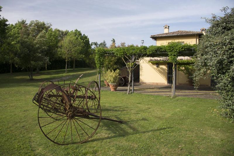 A garden outside Agriturismo Scuderie della Contea
